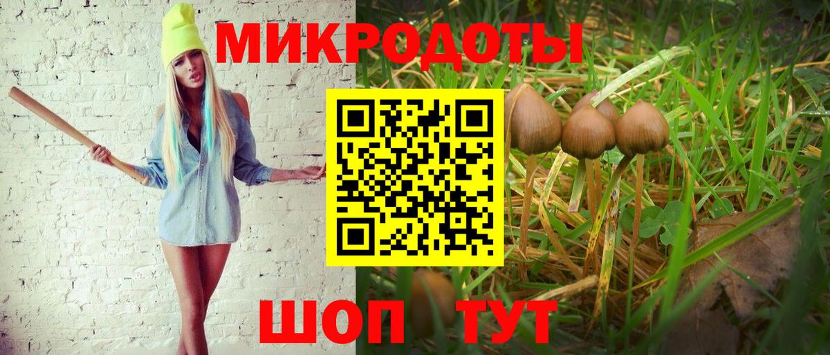 Псилоцибиновые грибы прущие грибы Холмск