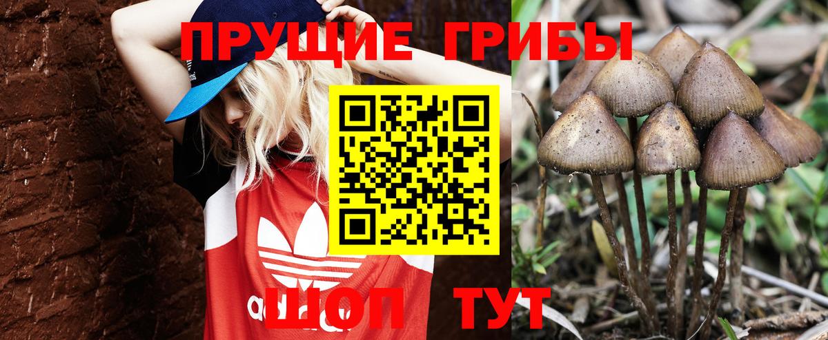 Псилоцибиновые грибы мухоморы  Вход с VPN  Холмск  Галлюциногенные грибы Psilocybe 